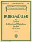 [HL50256180] 12 Brilliant And Melodious Studies  Op. 105 Piano;  Hl50256180 Johann Friedrich Burgmüller
